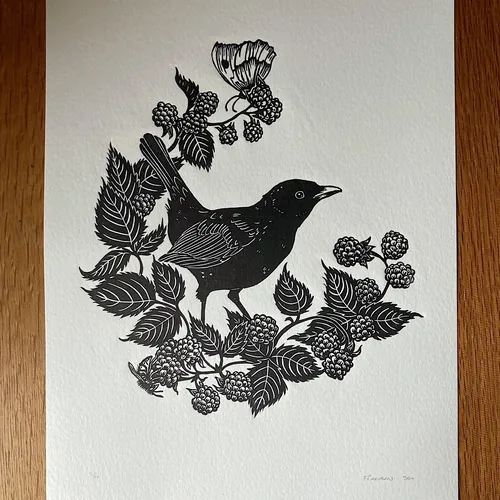 Lino cut of a blackbird perched on blackberry brambles by Emily Robertson