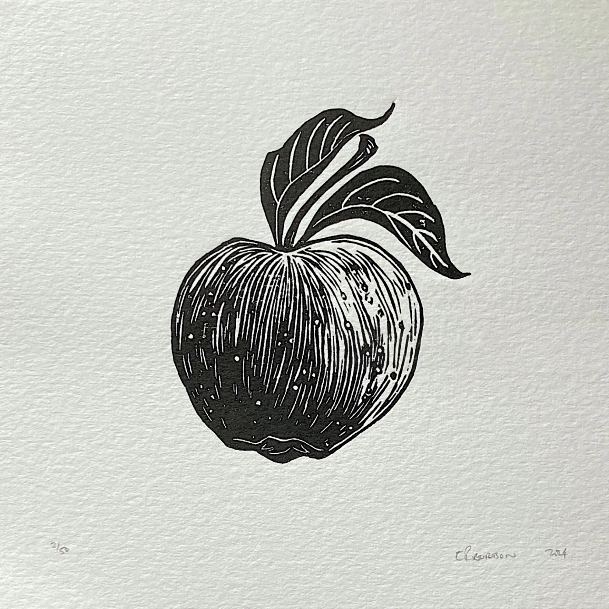 Black and white lino cut of an apple by Emily Robertson