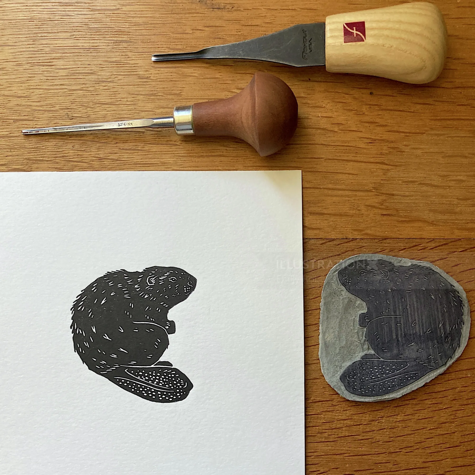 Beaver lino cut print and lino block with carving tools by Emily Robertson
