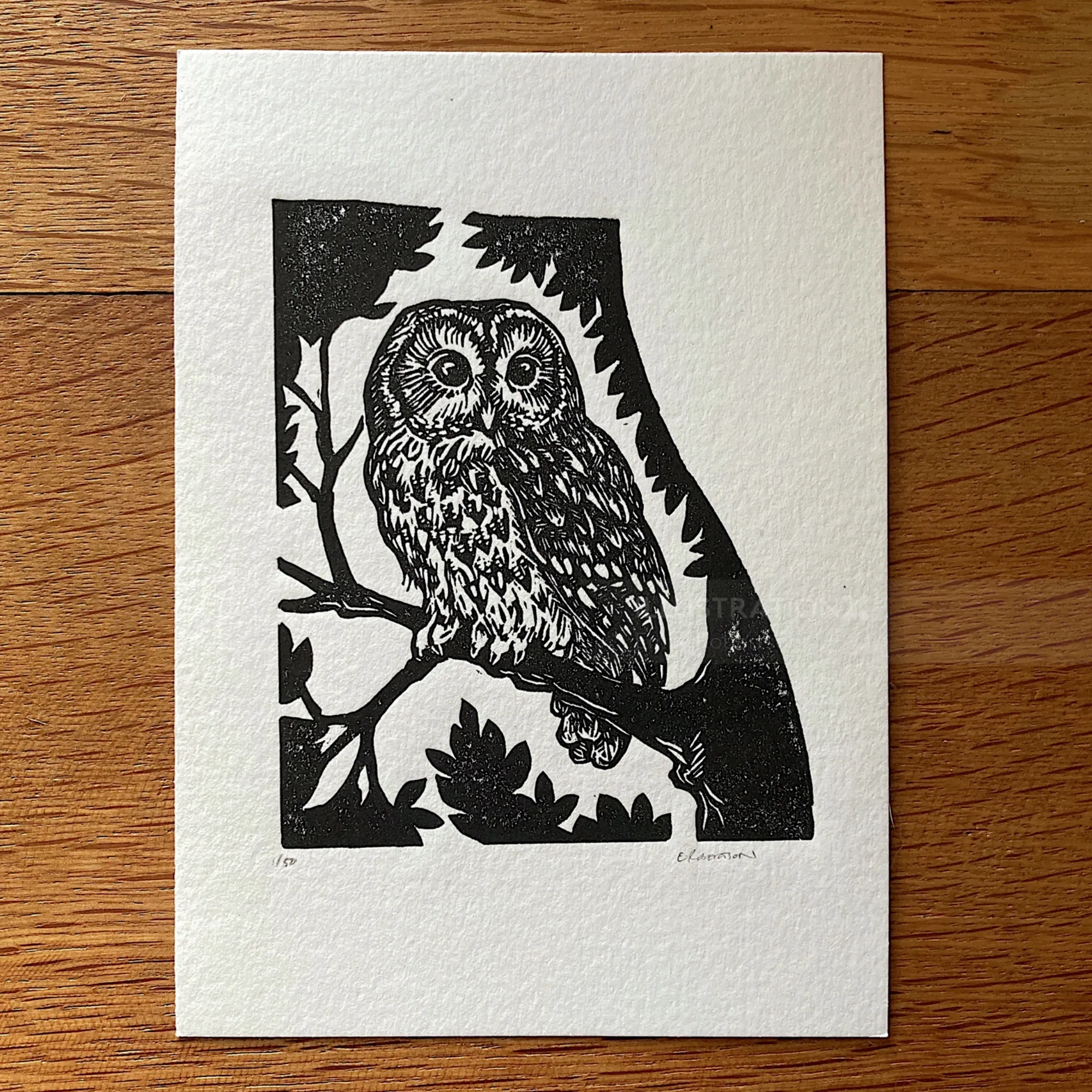 Black and white lino cut of a tawny owl on a tree by Emily Robertson