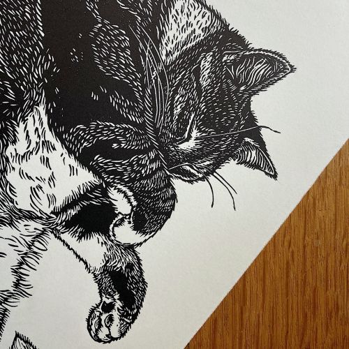 Close-up of black cat lino cut print by Emily Robertson