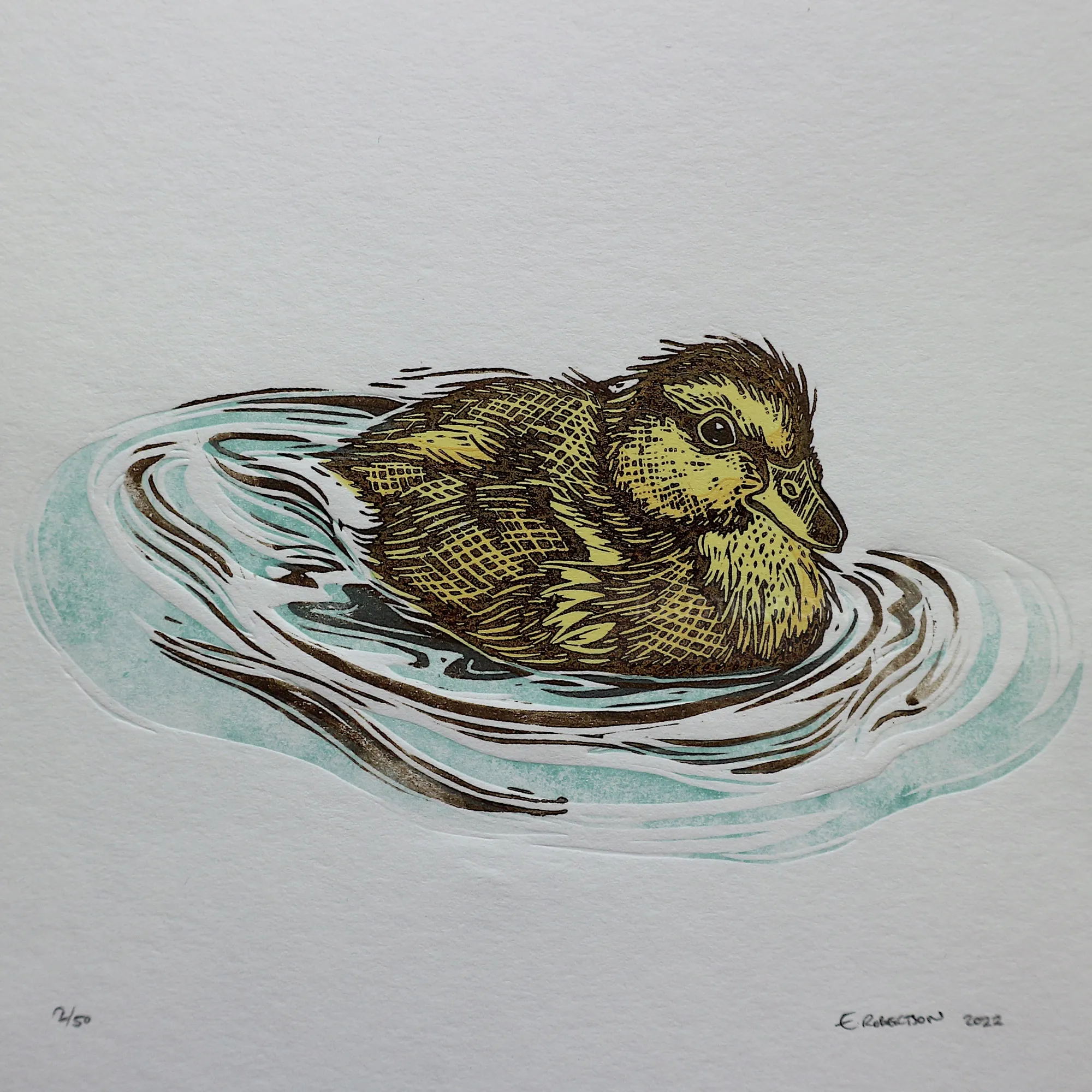 Duckling floating on water in multi block lino cut by Emily Robertson