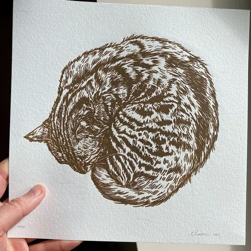 Brown tabby cat curled up in a lino cut by Emily Robertson