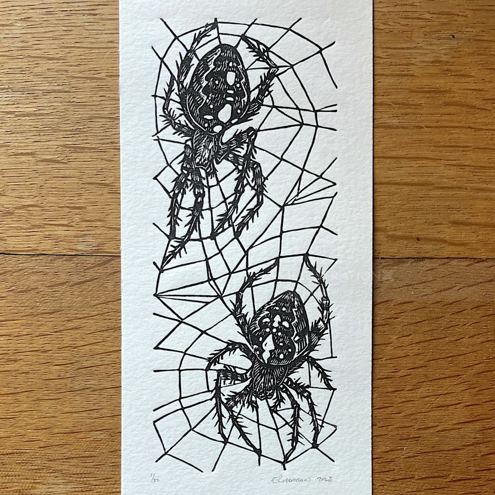Two spiders woven in a web lino cut print by Emily Robertson