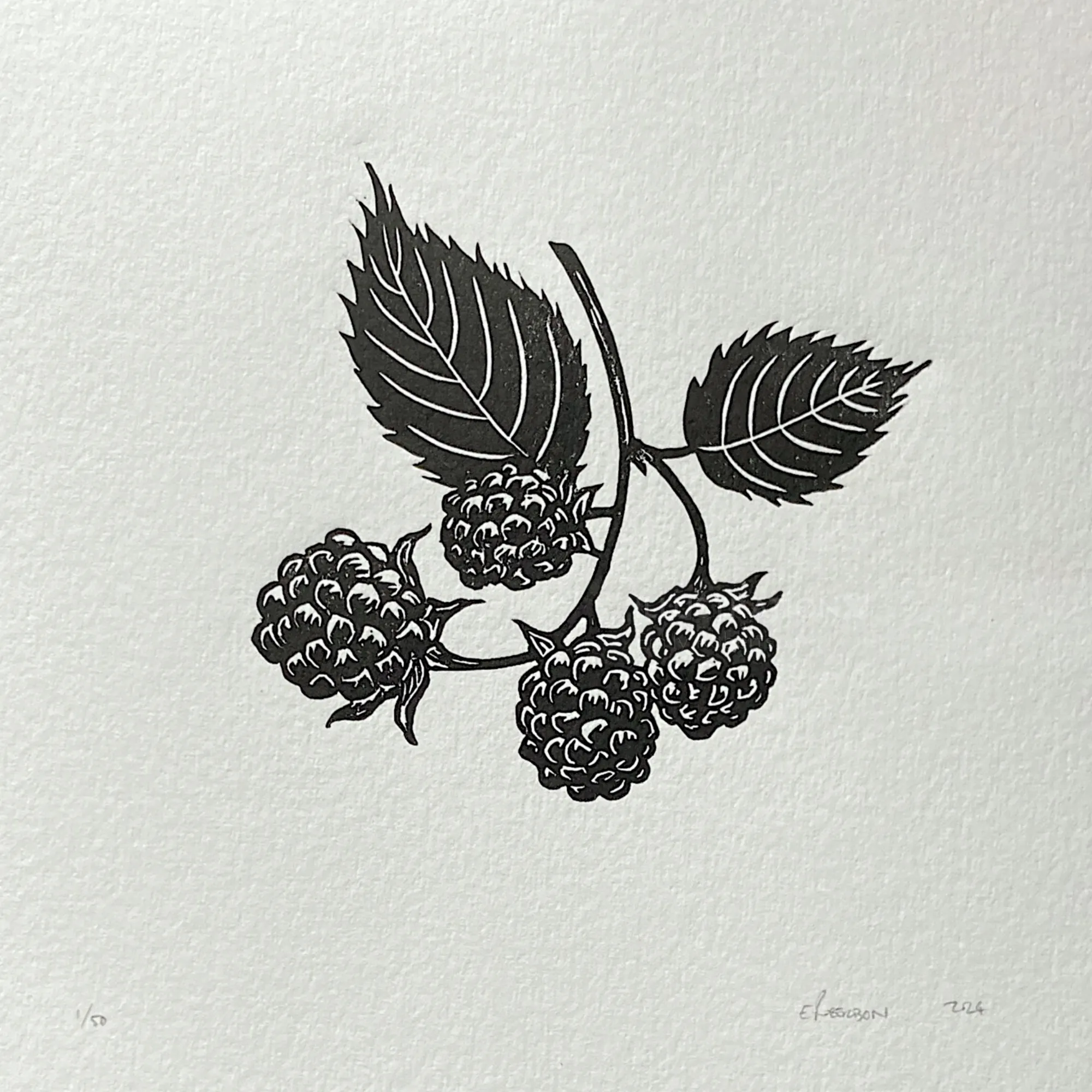 Blackberries lino cut print of berries and leaves by Emily Robertson