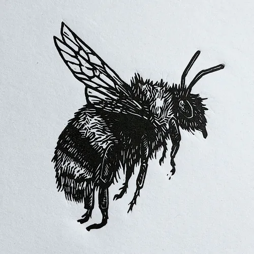 Black and white bee lino cut artwork by Emily Robertson