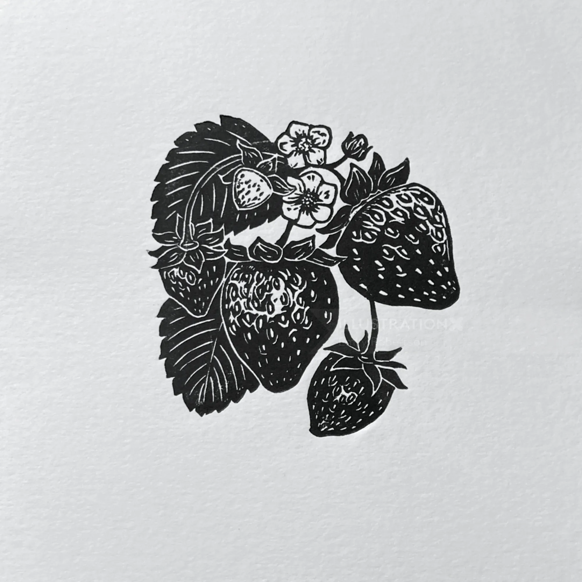 Black and white lino cut print of strawberries and flowers by Emily Robertson