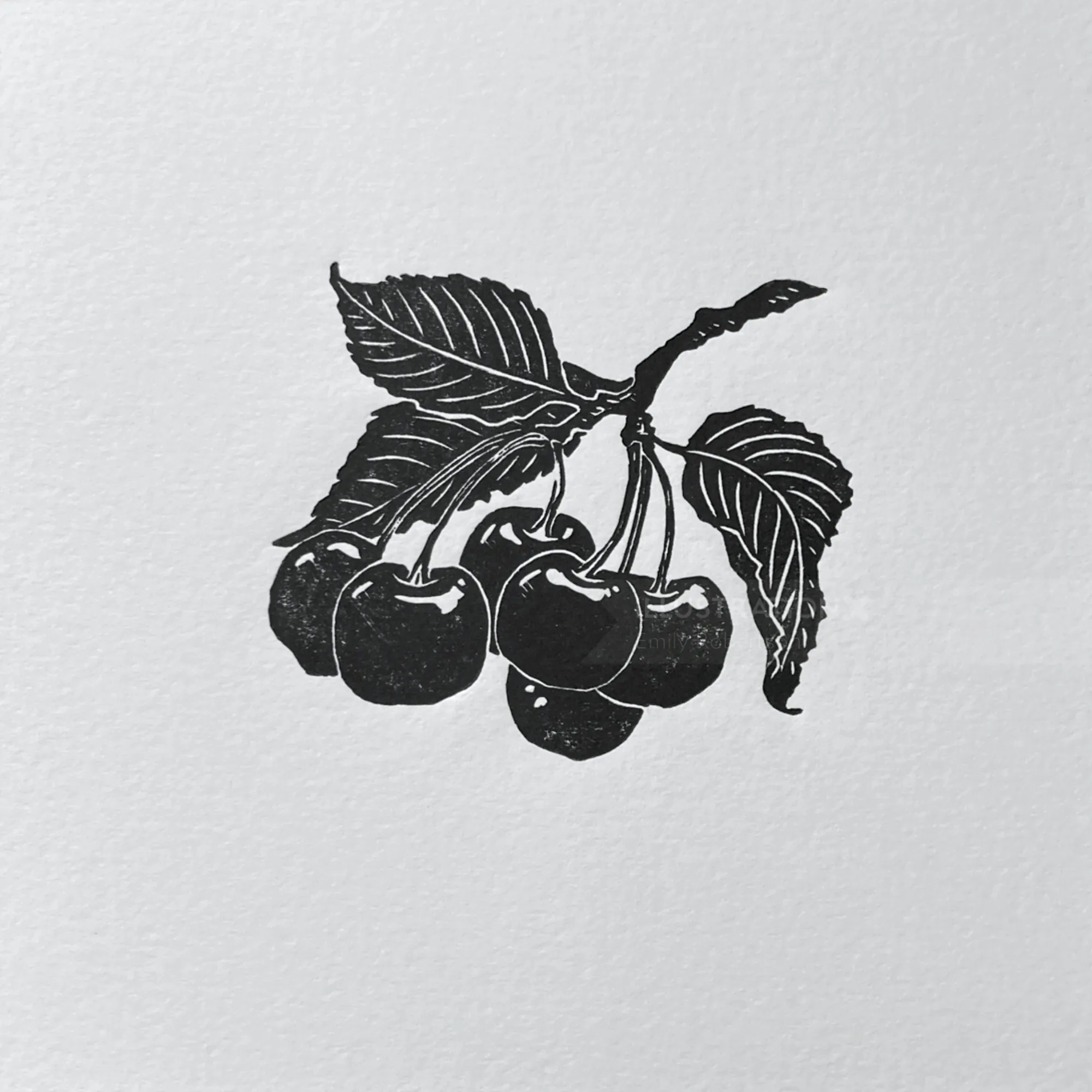 Lino cut print of a cherry sprig with leaves by Emily Robertson