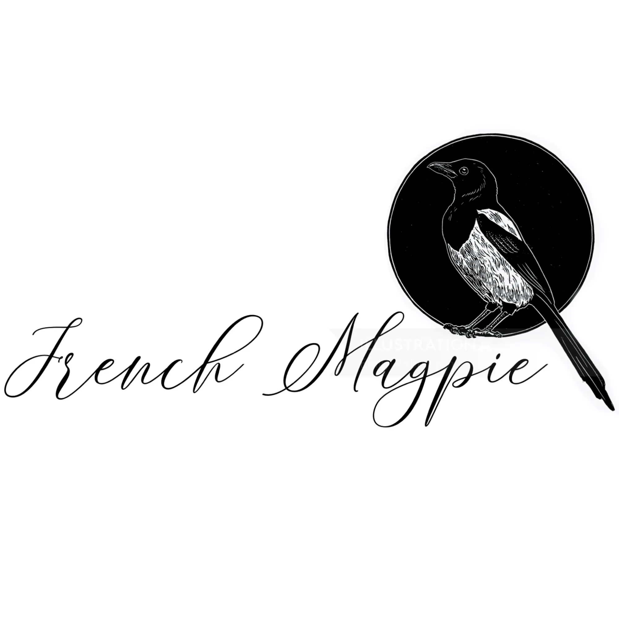 French Magpie logo featuring a black bird illustration in a circle by Emily Robertson