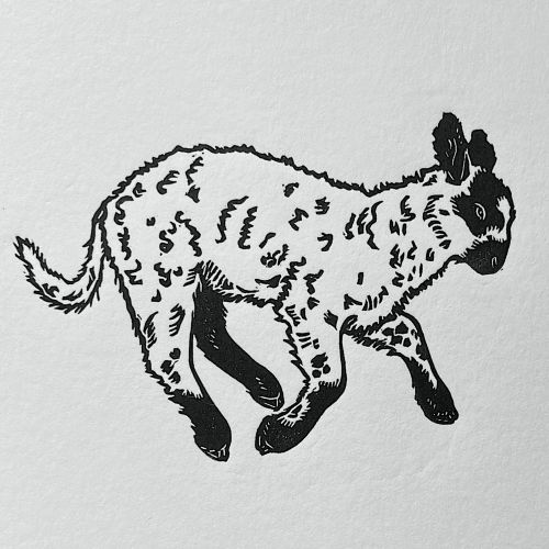 Leaping lamb linocut print by Emily Robertson