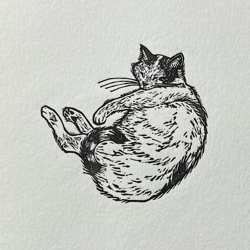 Emily Robertson linocut print of a sleeping cat curled on textured paper