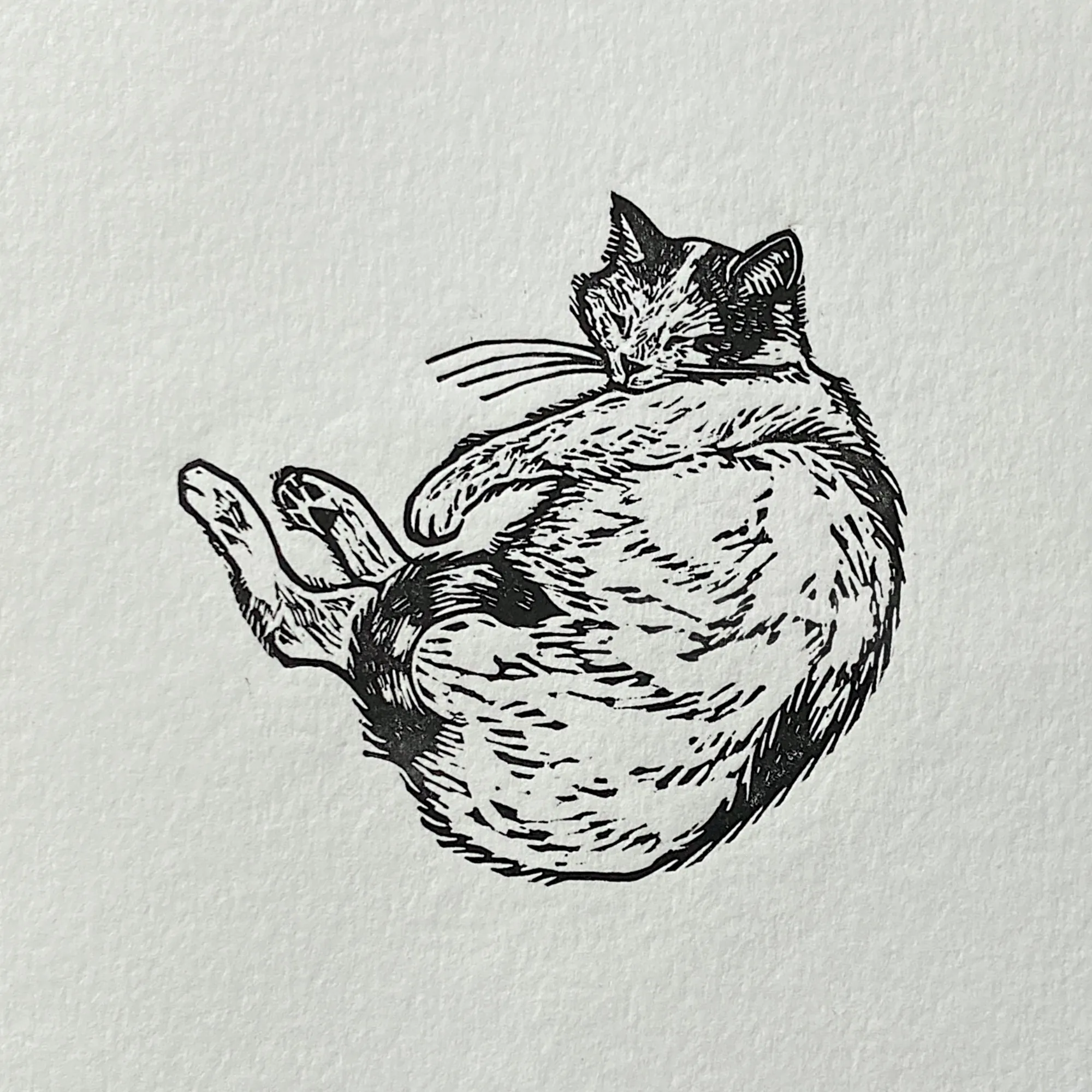 Gravura em linóleo de Emily Robertson representando um gato dormindo enrolado em papel texturizado.