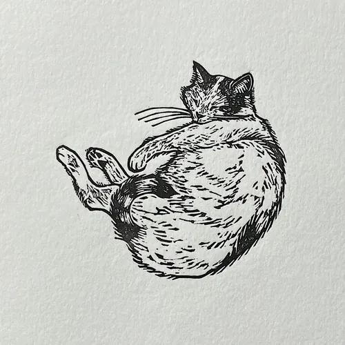Gravura em linóleo de Emily Robertson representando um gato dormindo enrolado em papel texturizado.