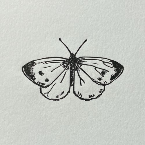 Emily Robertson linocut print of a cabbage white butterfly