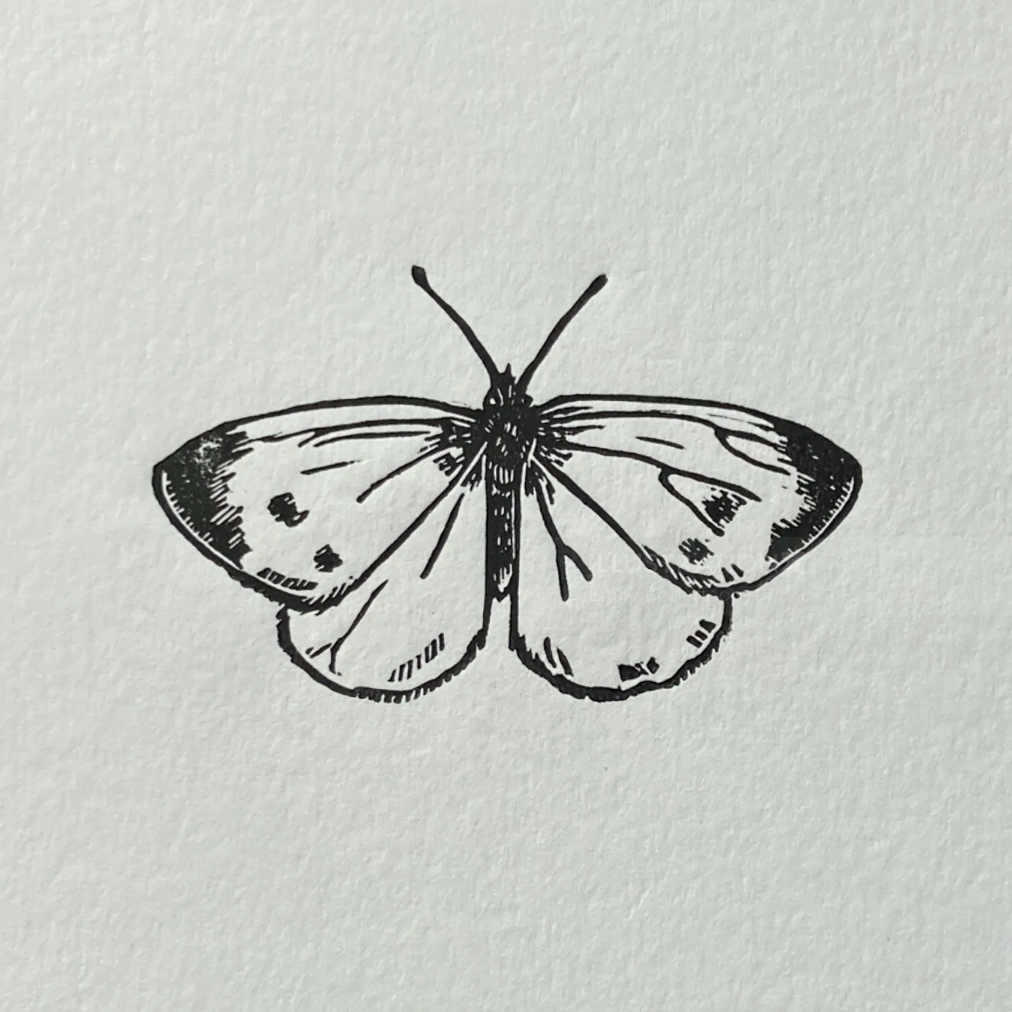 Gravura em linóleo de Emily Robertson representando uma borboleta branca-da-couve.