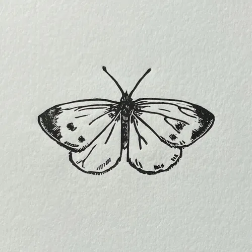 Gravura em linóleo de Emily Robertson representando uma borboleta branca-da-couve.