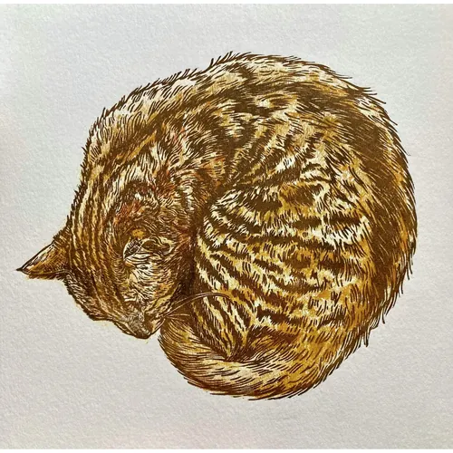 艾米莉·罗伯逊的彩色木刻版画，描绘了一只蜷缩着睡觉的猫