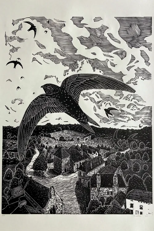 艾米莉·罗伯逊的木刻版画，描绘了雨燕飞越村庄的景象