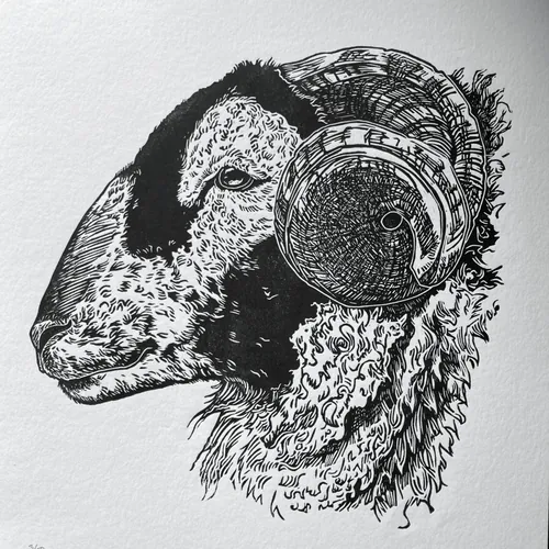 Lino cut print of a ram's head by Emily Robertson