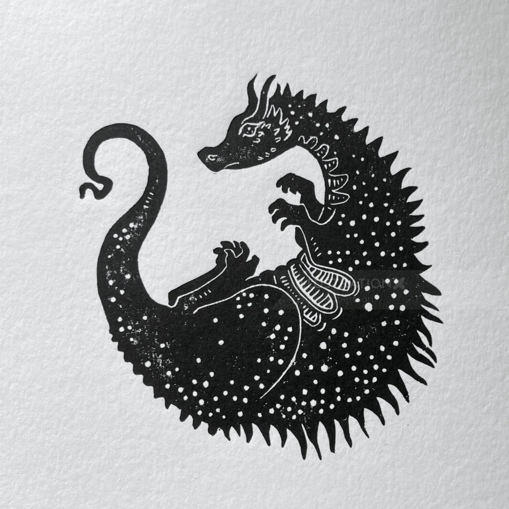 Curled dragon linocut by Emily Robertson