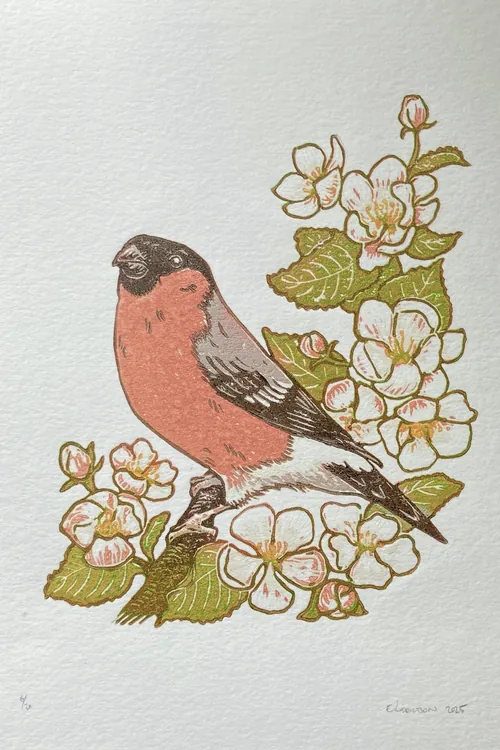 Emily Robertson's linocut print of a bullfinch among apple blossoms