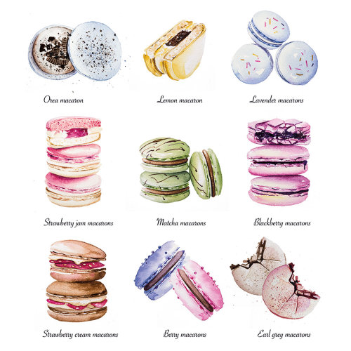 Macarons food illustration