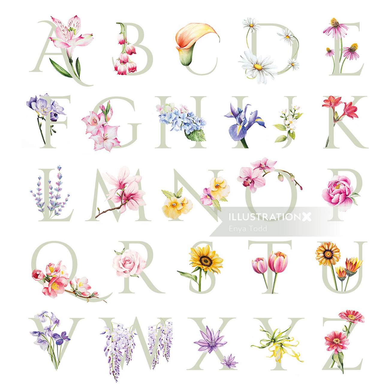 Lettering illustration of flower alphabets
