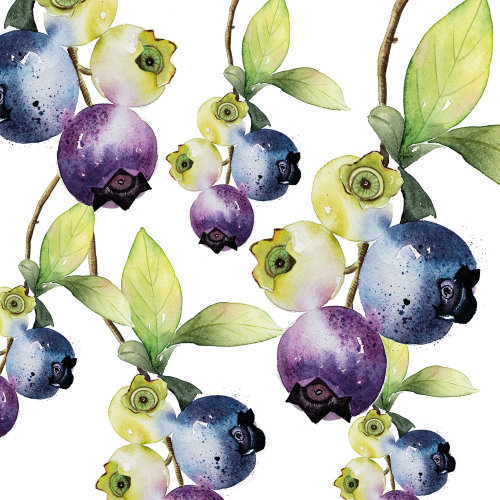 Pattern design of Fruit Berries