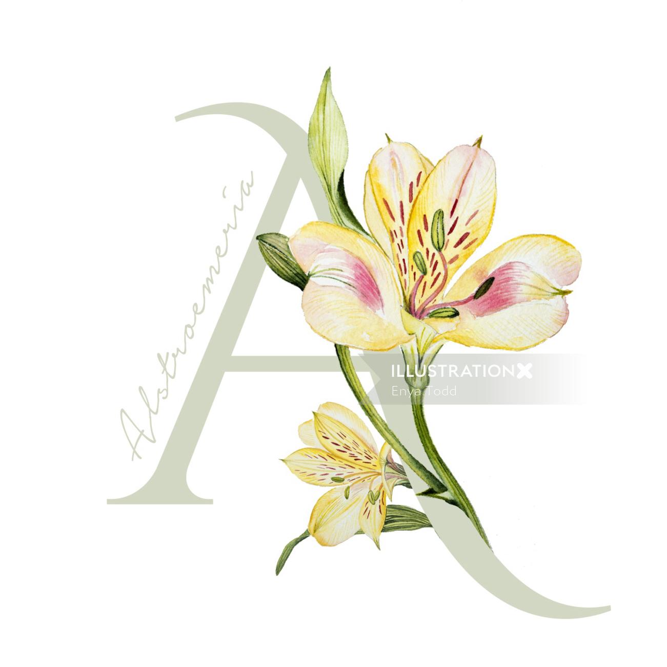 Flower alphabet contemporary design