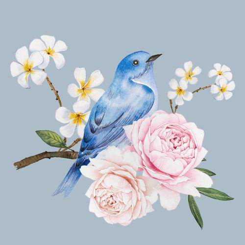 Watercolour of Blue Bird