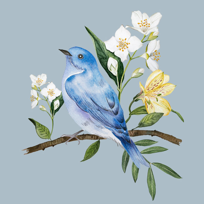 Ilustração de pássaro