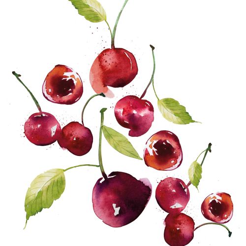 Cherries watercolour pattern design