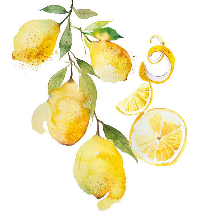 Lemons watercolour pattern design