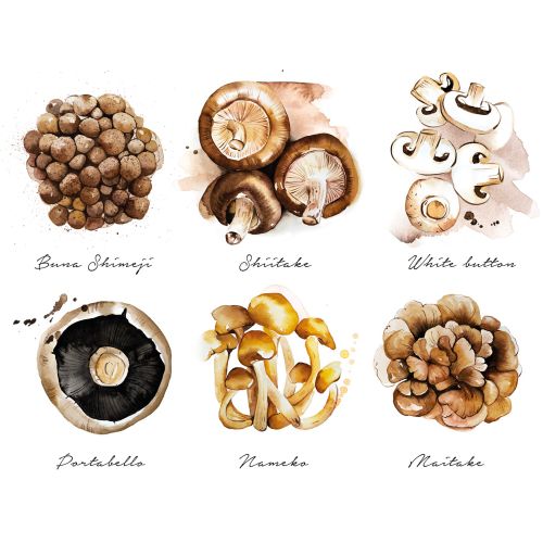 The culinary mushrooms list