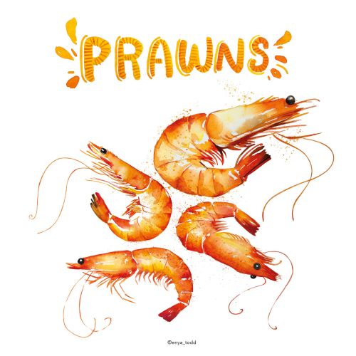 Food illustration of Prawns
