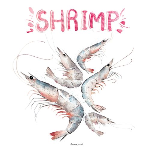 Food illustration of Shrimps