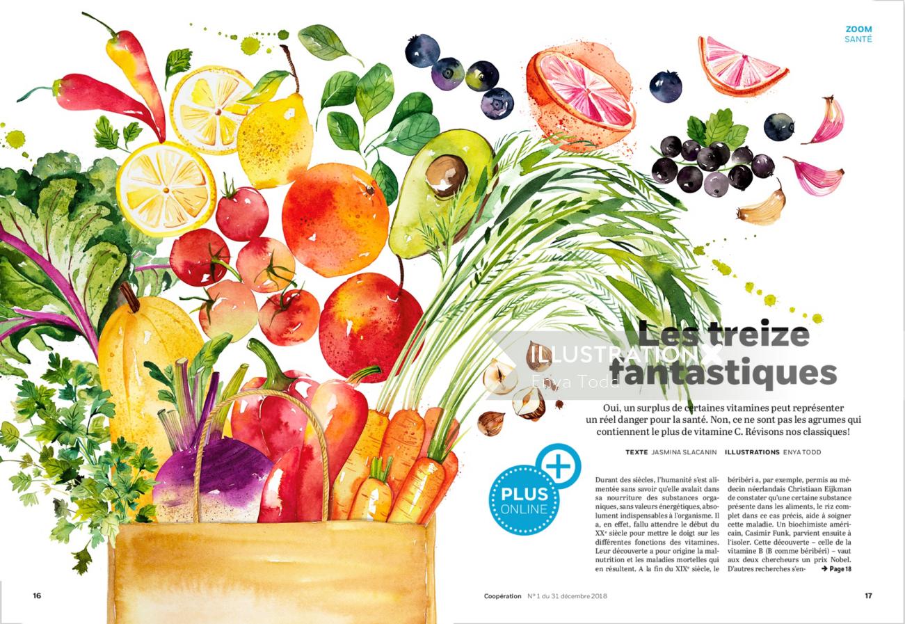 Editorial illustration of Vegetable and Fruits