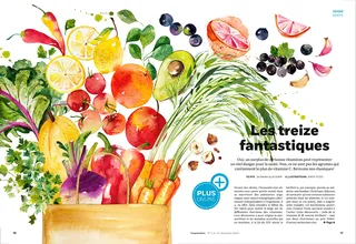 Editorial illustration of Vegetable and Fruits