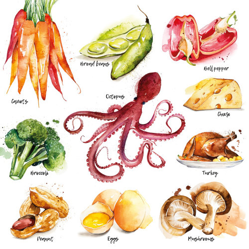 Ilustración de verduras de Enya Todd