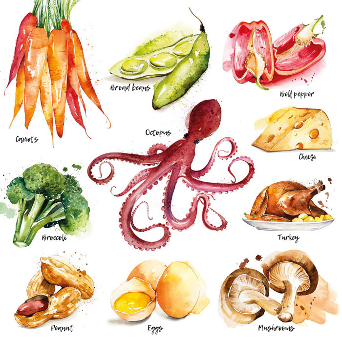 Illustration de légumes par Enya Todd