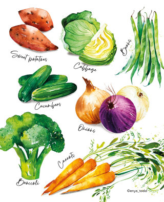 Pintura de acuarela de verduras.