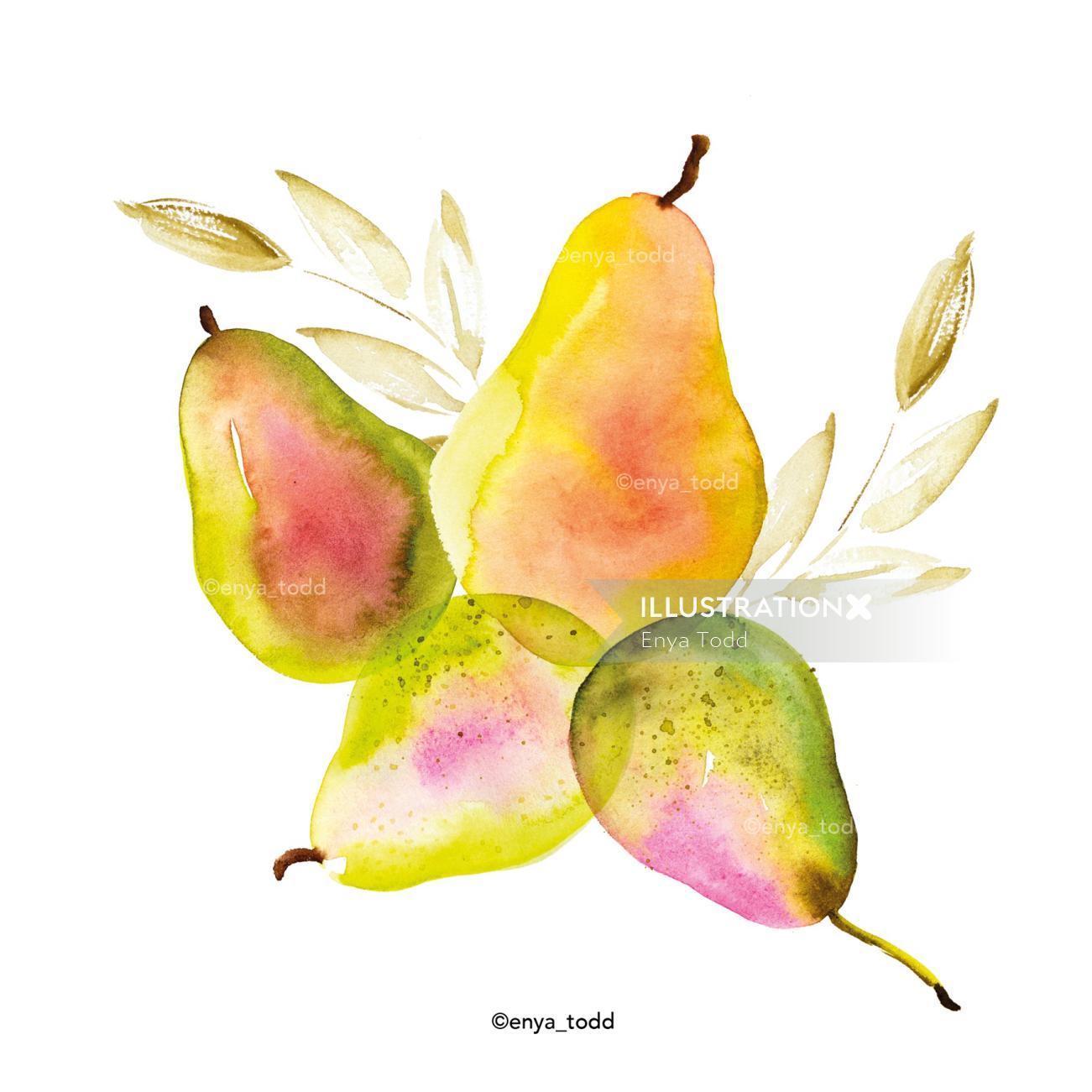 秋の梨のフルーツの絵
