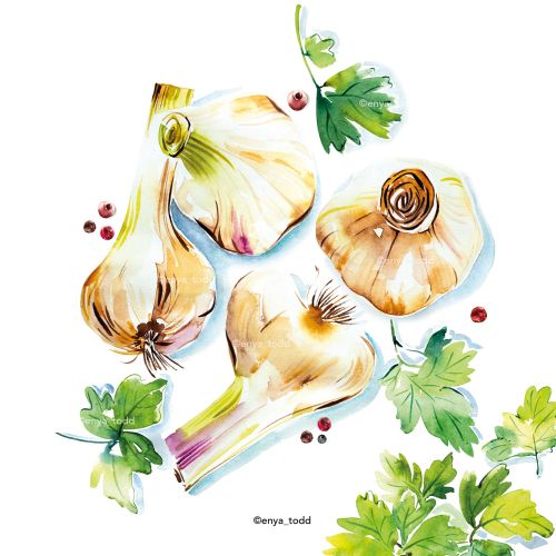 British garlic realistic art