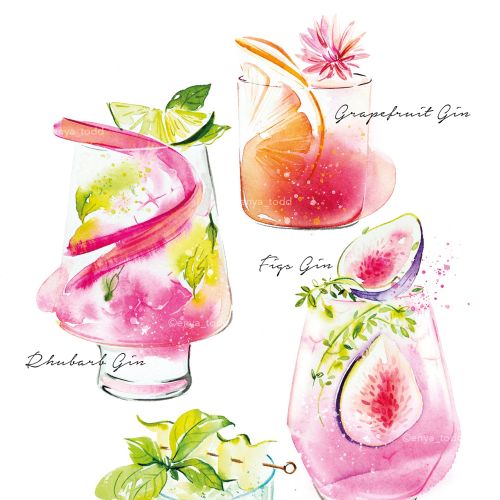 Watercolor depiction of a variety of gin