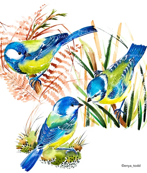 Watercolor painting of a blue tit