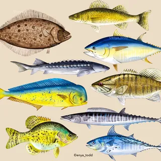 Detailed colorful illustration of different fish species on beige background