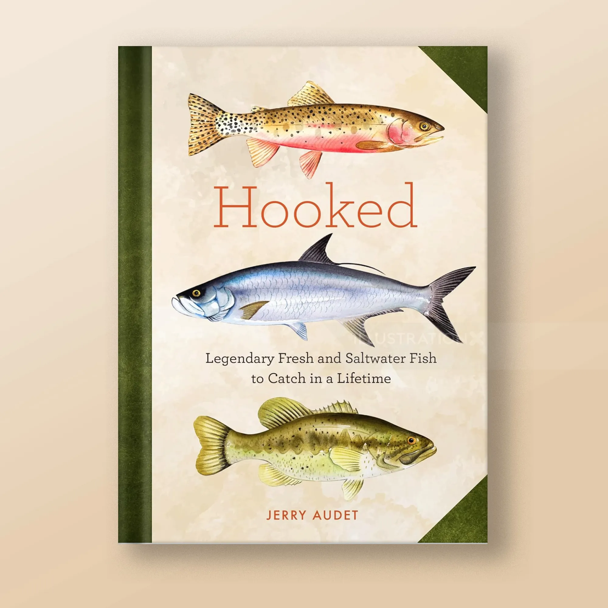 Cover of fishing book with three illustrated fish and title Hooked