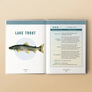 Illustration of a lake trout with fishing details and habitat info