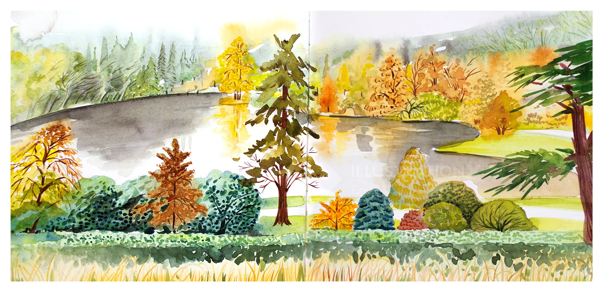 Watercolor sketch of Stourhead landscape with trees and pond