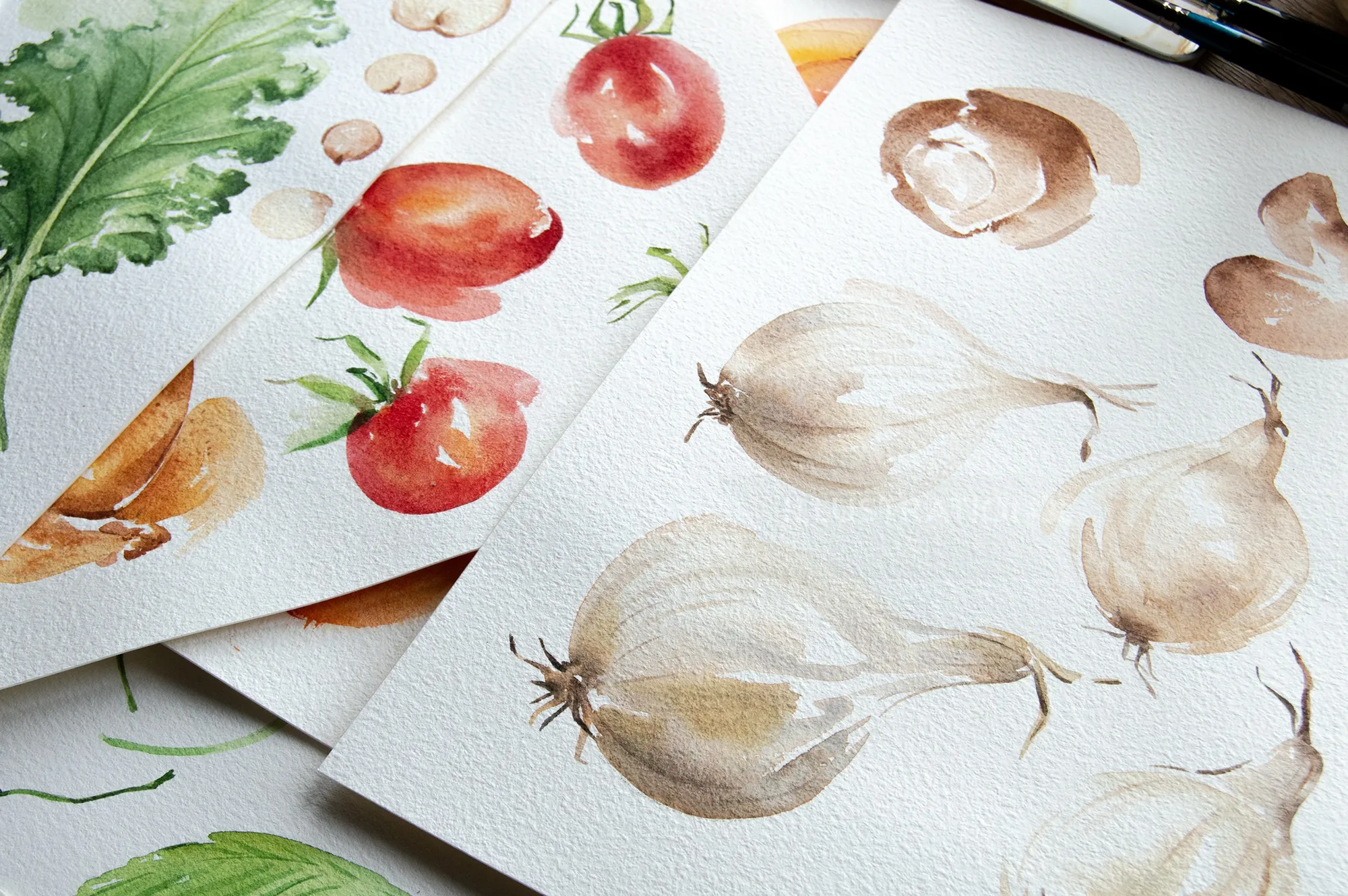 Watercolor vegetable illustrations by Enya Todd, featuring onions, garlic, tomatoes, and leafy green